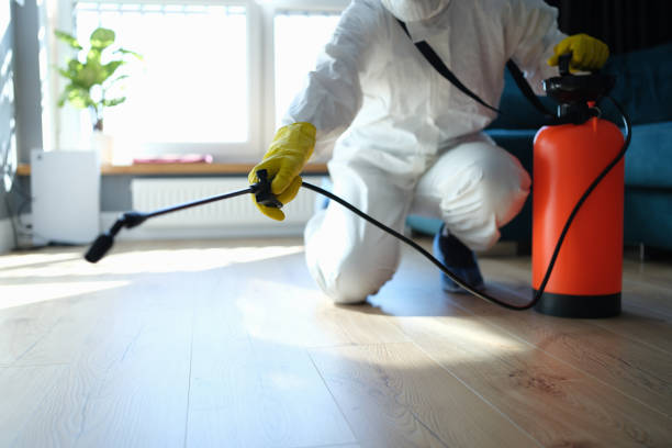 Reliable Odor Removal contractor in Tehachapi, CA by Trauma Clean Pros